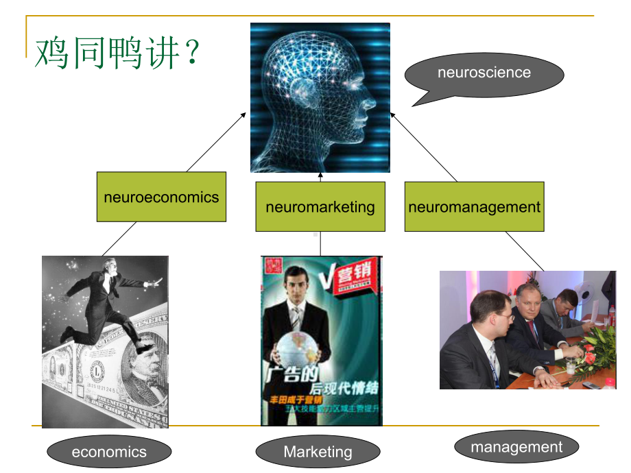 神经经济学：决策与大脑课件.ppt_第3页