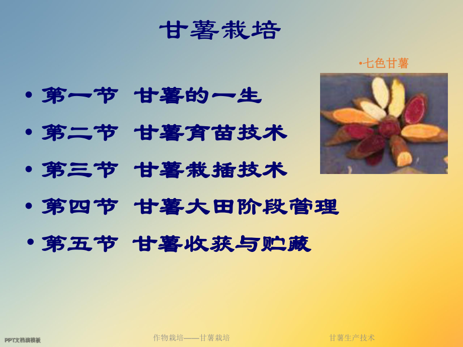 甘薯生产技术课件.ppt_第3页