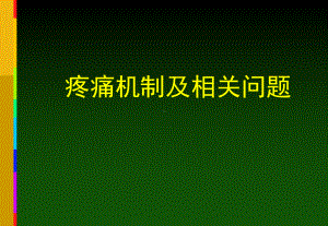 疼痛机制及相关问题课件.ppt