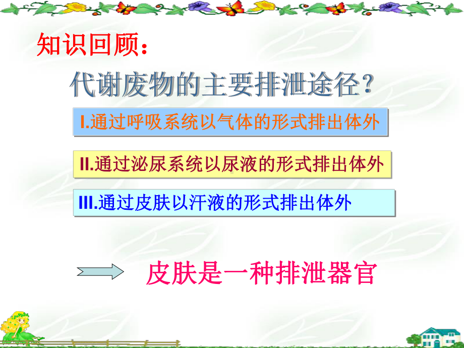 皮肤与汗腺分泌(自用)课件.ppt_第2页