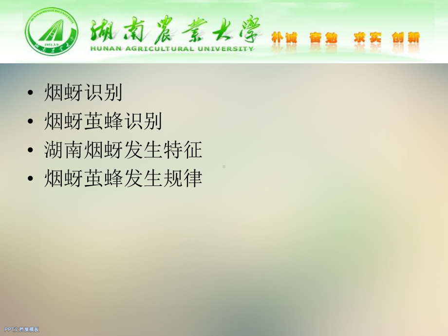 烟草蚜虫识别及蚜茧蜂发生规律课件.ppt_第2页