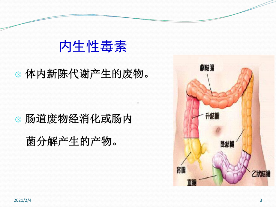 益生菌和健康课件.ppt_第3页