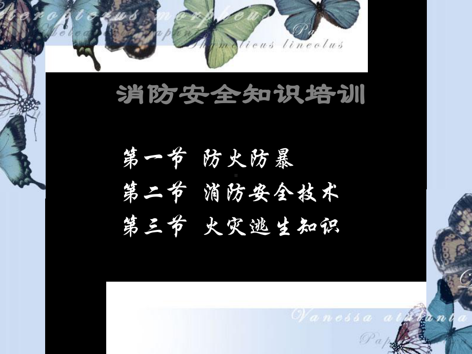 消防安全知识培训(安全员)课件.ppt_第2页