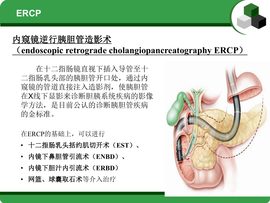 病例分析：一例ERCP术后患者的病例分析课件.ppt_第3页