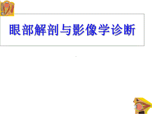 眼部解剖与影像学诊断课件.pptx