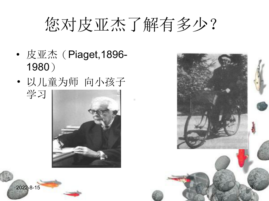 皮亚杰的发生认识论与知识的建构课件.ppt_第3页