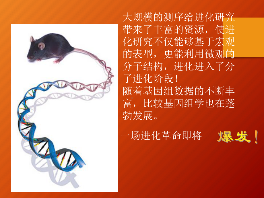 生物信息学分子进化分析课件.pptx_第3页