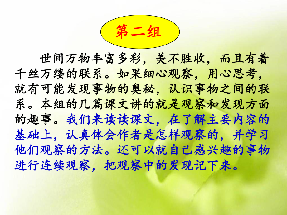 爬山虎的脚讲课课件.ppt_第3页