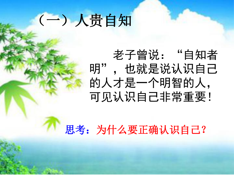 第三课发现自己课件.ppt_第3页