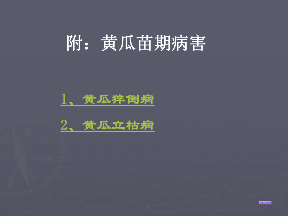 第一部瓜类病害课件.ppt_第3页