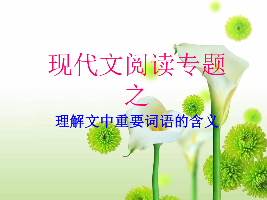 现代文阅读专题(一)课件.ppt_第1页