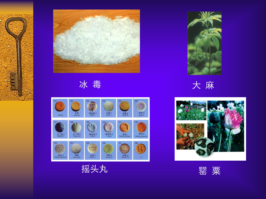 特殊管理药品课件.ppt_第2页