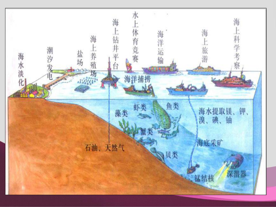 海洋矿物资源讲解课件.ppt_第2页