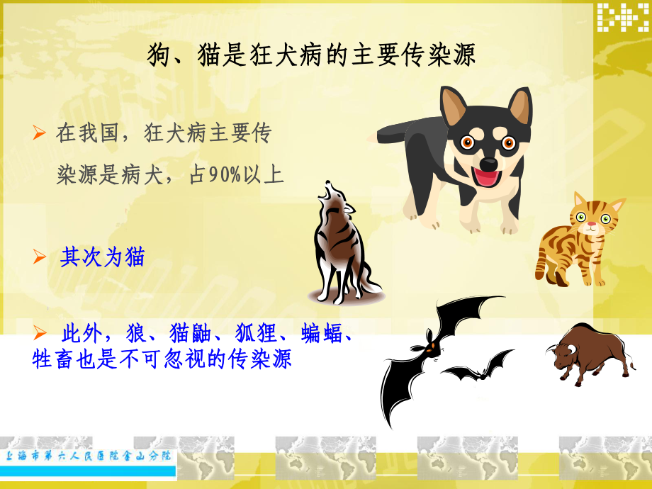 犬伤人免疫治疗课件.ppt_第3页