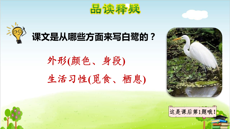 白鹭课件1推荐.ppt_第3页