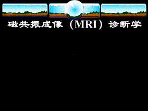 磁共振成像(MRI)诊断学课件.ppt