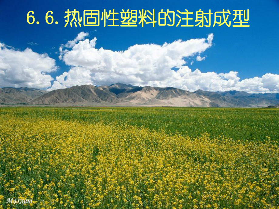 热固性塑料的注射课件.ppt_第1页