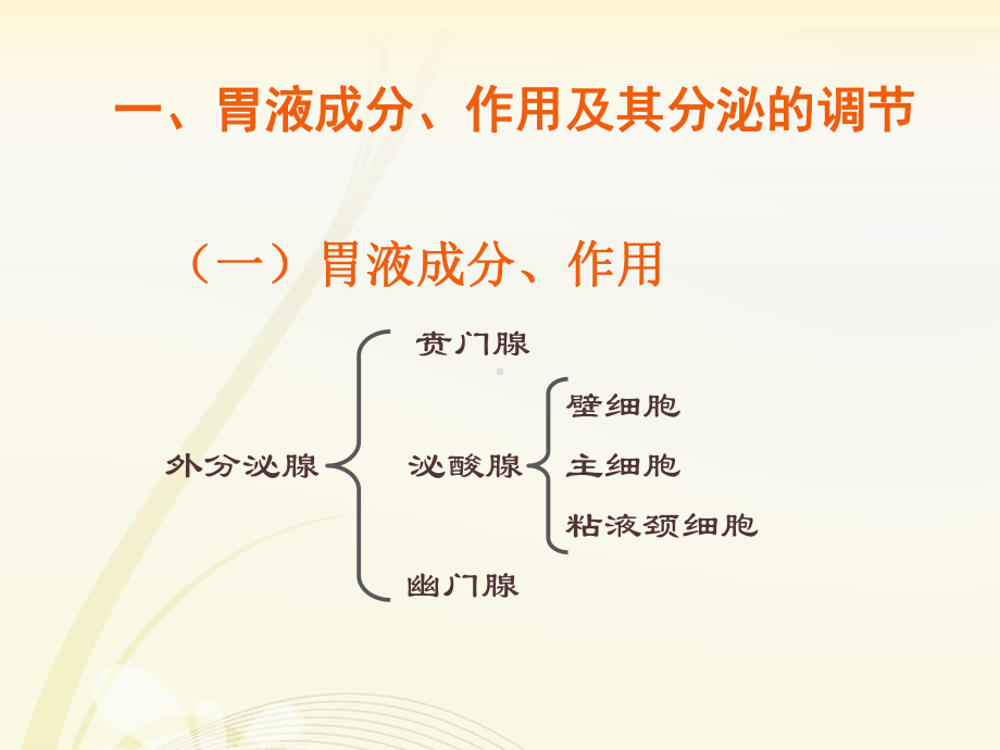 生理学胃内消化课件.pptx_第3页