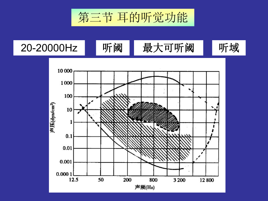 神经生物学听觉课件.ppt_第1页