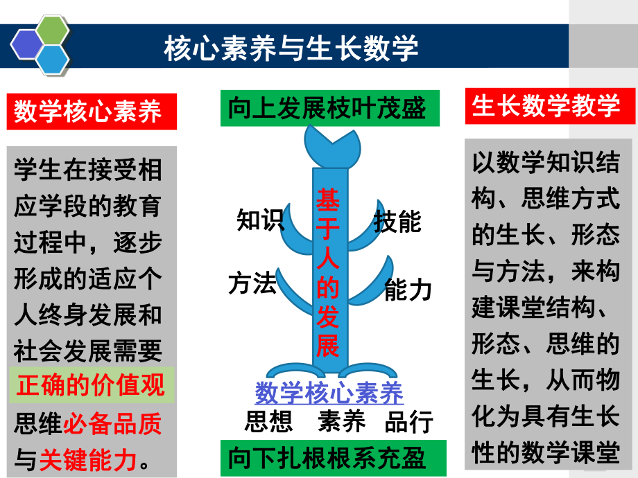 生长数学教学案例赏析课件.ppt_第3页