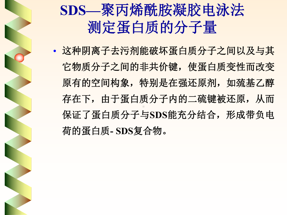 生物化学实验甲SDS—聚丙烯酰胺凝胶电泳法测定蛋白质分子量课件.ppt_第3页