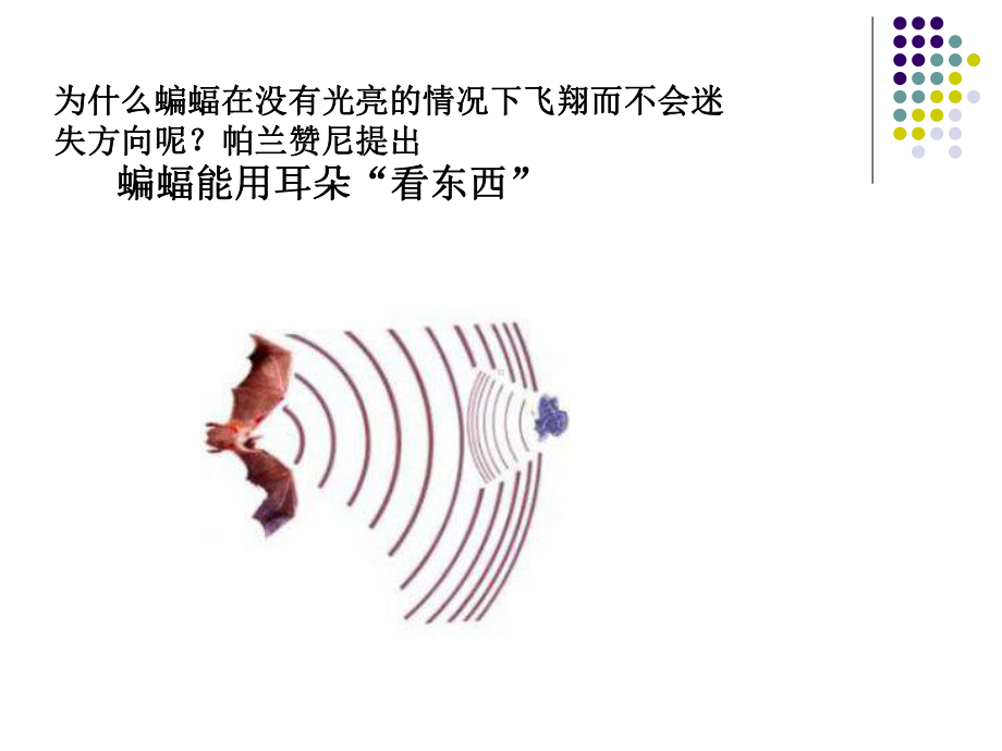 眼科超声仪器及应用课件.ppt_第2页