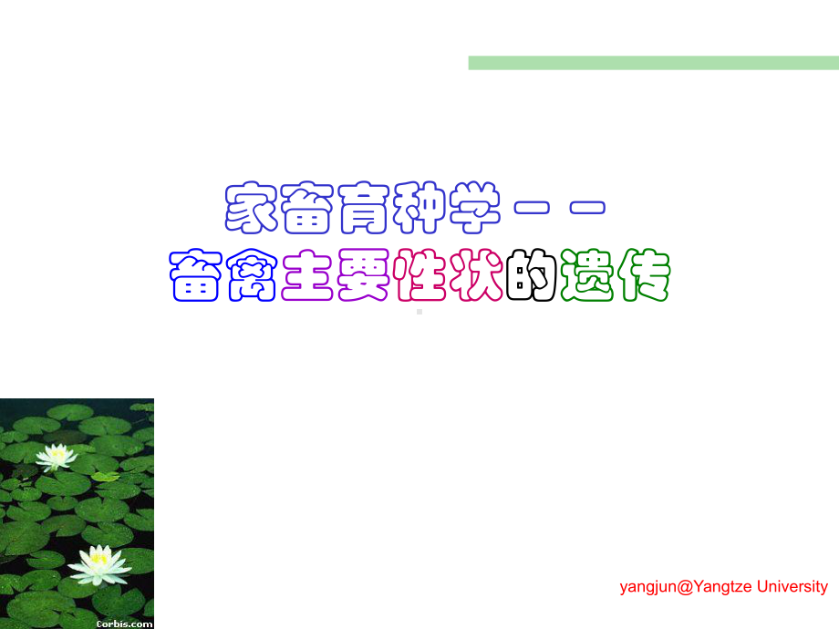 畜禽主要性状的遗传课件.ppt_第1页