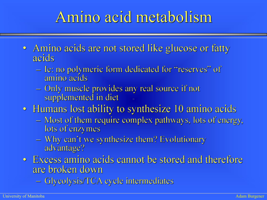 生物化学IILectureAminoacidcatabolism23张幻灯片.ppt_第1页