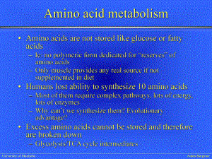 生物化学IILectureAminoacidcatabolism23张幻灯片.ppt