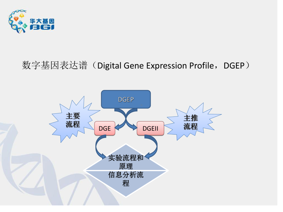 生物信息学表达谱流程简介课件.ppt_第2页