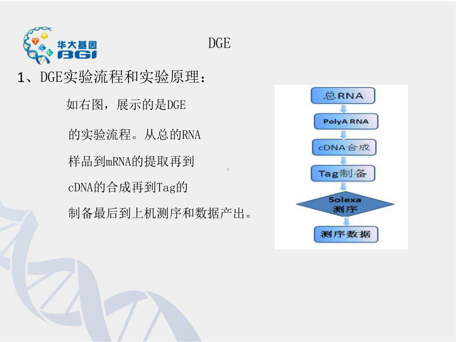 生物信息学表达谱流程简介课件.ppt_第3页