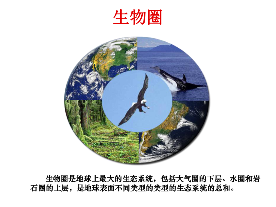 生物圈中的各种生态系统正式版课件.ppt_第3页