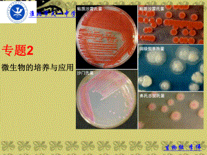 第一课时微生物课件.ppt