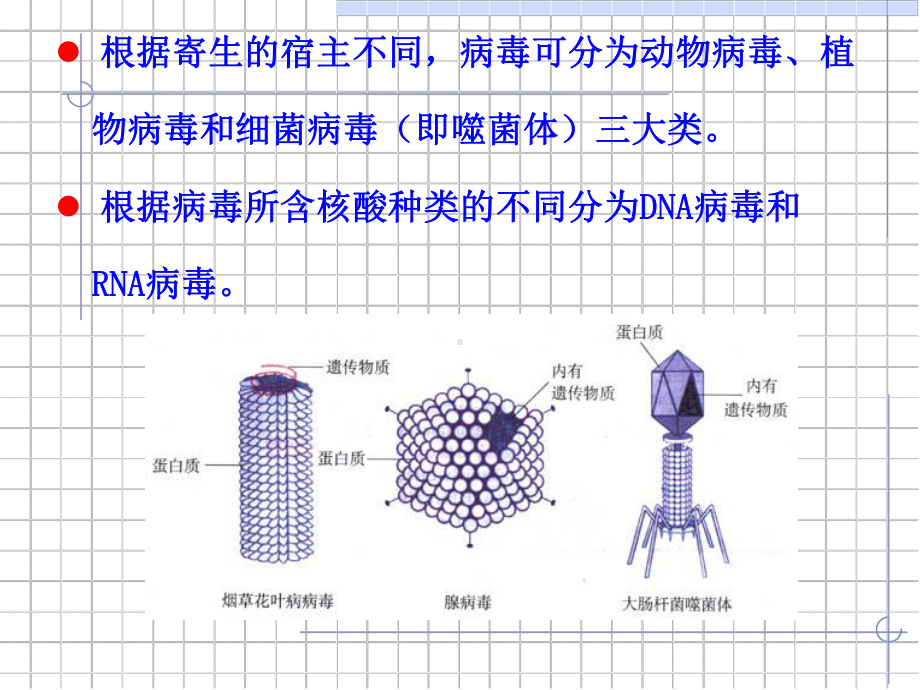 生物必修一第二章课件.ppt_第3页