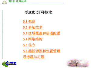 第章组网技术课件.ppt