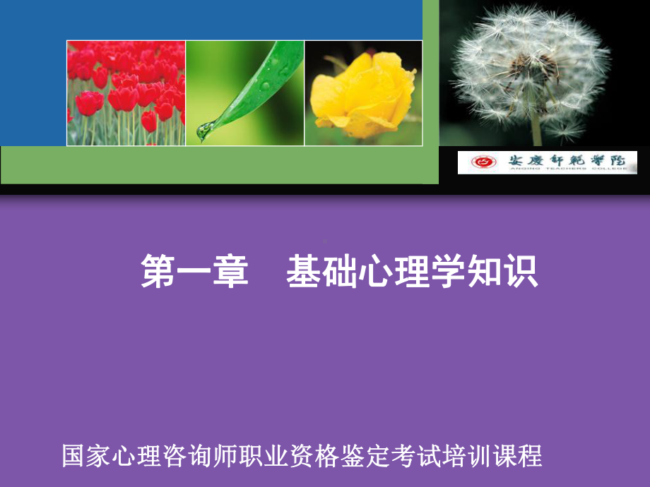 第一至五节基础心理课件.ppt_第1页