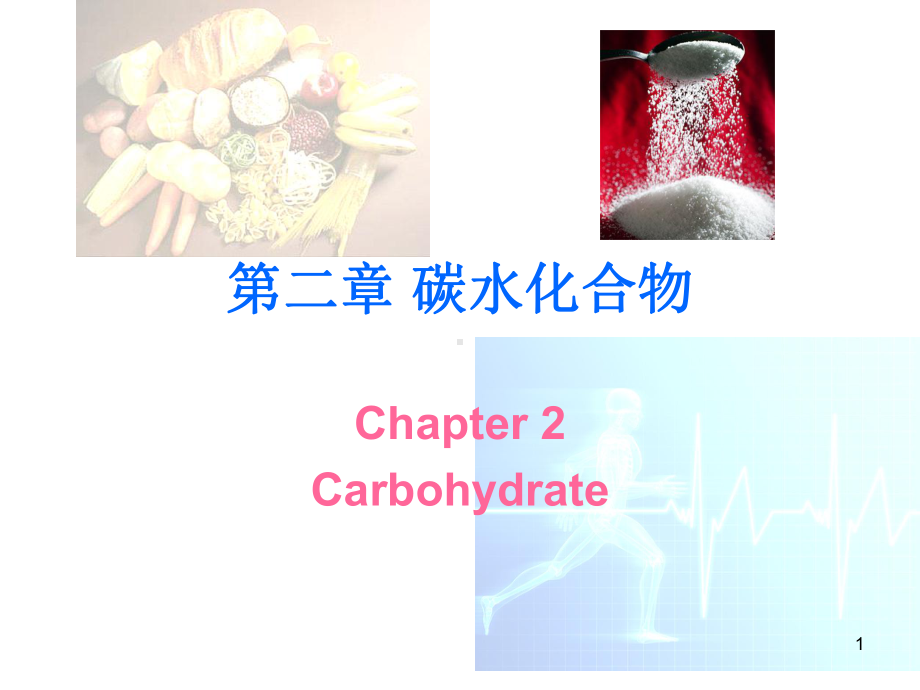 现代营养学之碳水化合物课件.ppt_第1页