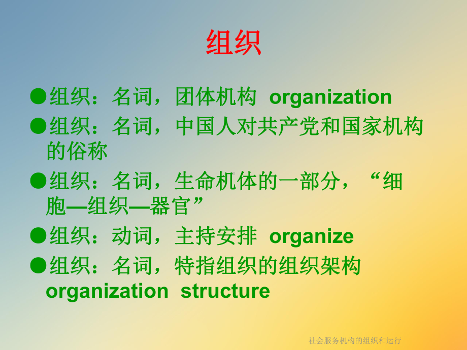 社会服务机构的组织和运行课件.ppt_第2页