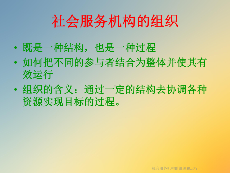 社会服务机构的组织和运行课件.ppt_第3页