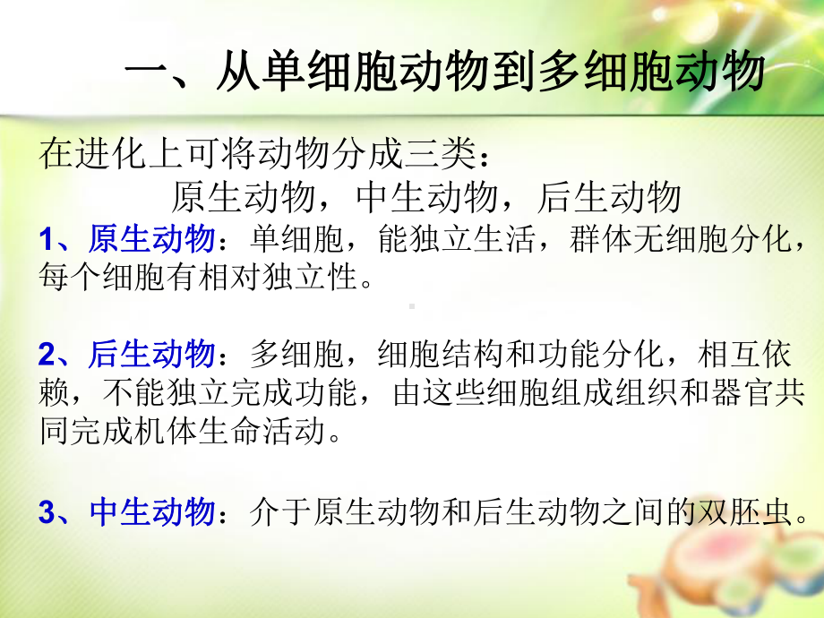 第章多细胞动物导论及多孔动物门Porifera课件.ppt_第2页