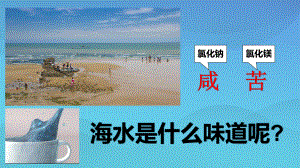 海水的盐度-PPT(教学课件).pptx