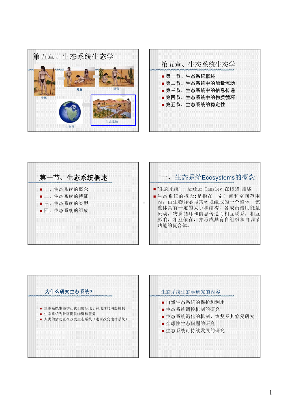 生态系统生态学1课件.pptx_第1页