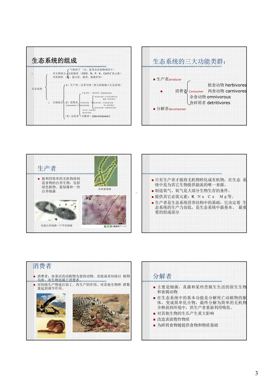 生态系统生态学1课件.pptx_第3页