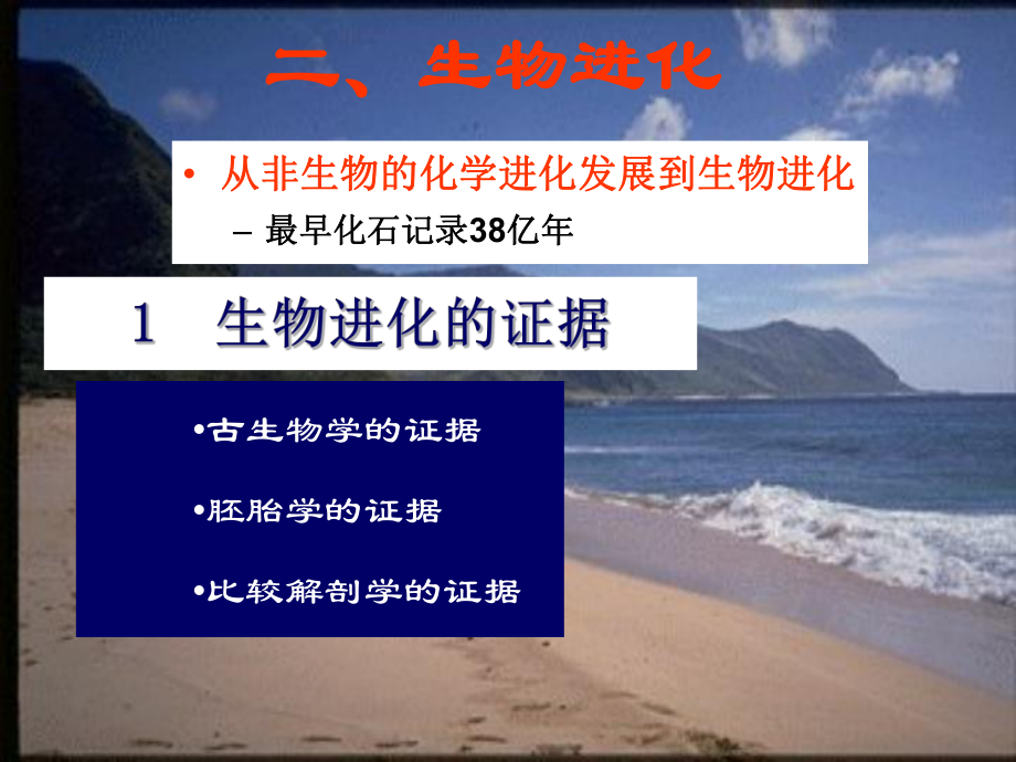 生命起源与生物进化课件2.ppt_第3页