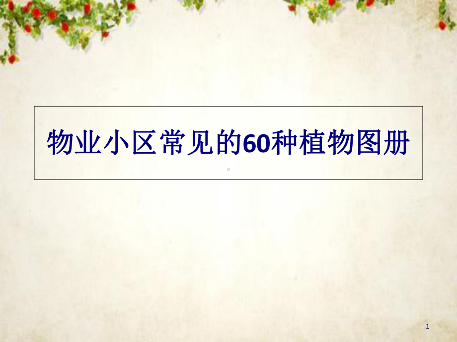 物业小区常见的60种植物图册(64张幻灯片)课件.ppt_第1页