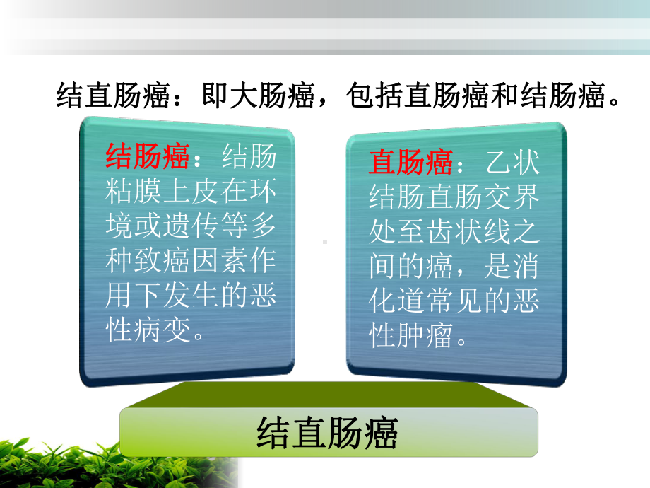 病例分析：直肠癌课件.ppt_第3页