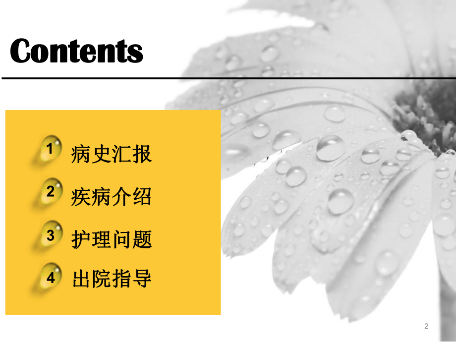 直肠癌护理查房l课件.ppt_第2页