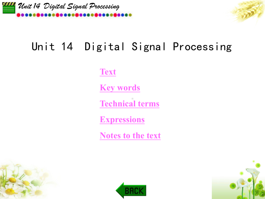 电子信息类专业英语Unit14DigitalSignalProcessing课件.ppt_第1页