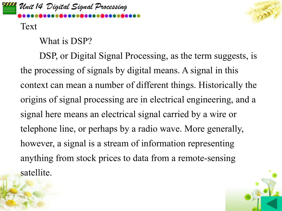 电子信息类专业英语Unit14DigitalSignalProcessing课件.ppt_第2页