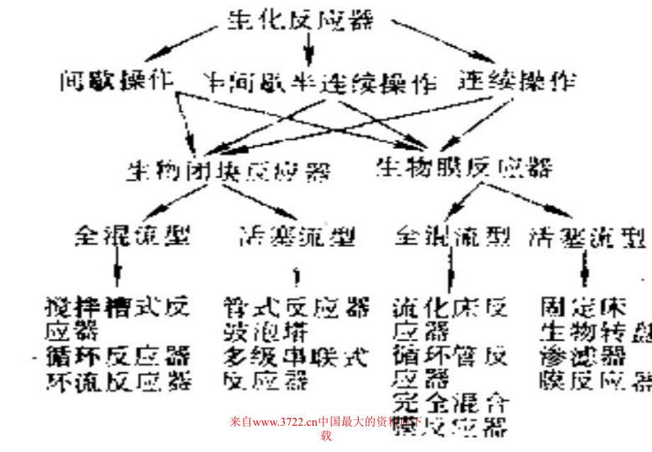 生物过程的反应原理3(66)课件.ppt_第2页